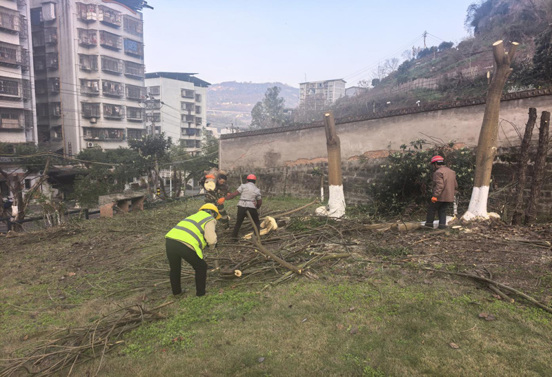 2026年5月10日万州双河口儿童福利院绿化整理服务由重庆渝超物业管理有限公司承接，并顺利完成任务，且得到甲方一致好评。