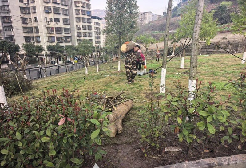 2026年5月10日万州双河口儿童福利院绿化整理服务由重庆渝超物业管理有限公司承接，并顺利完成任务，且得到甲方一致好评。